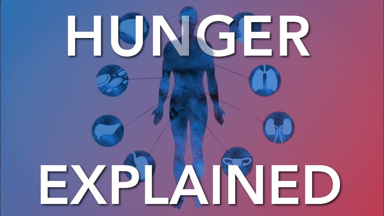 The Science behind what is really making you hungry when you’re fasting. Video by What I’ve