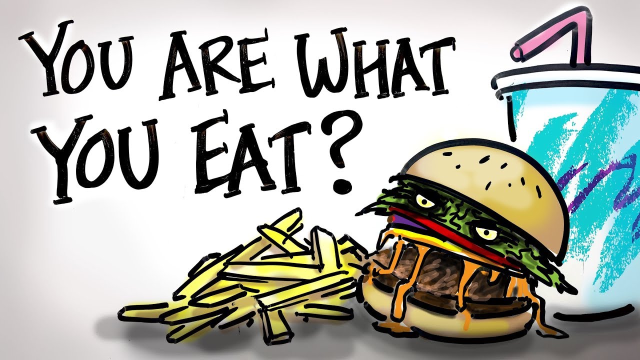 In this animation, we examine the phrase, “You are what you eat”. It’s a phrase used around the world and throughout