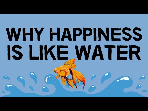 Happiness is not something that can be bought or saved like money in a bank account. It has very little to do with