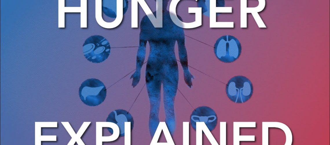 hungerexplained