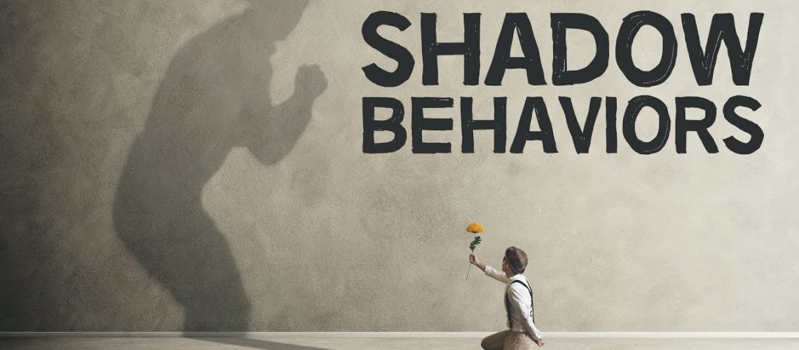 shadowbehaviors